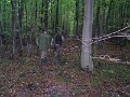 Polovnicke zdruzenie-Lipie   52